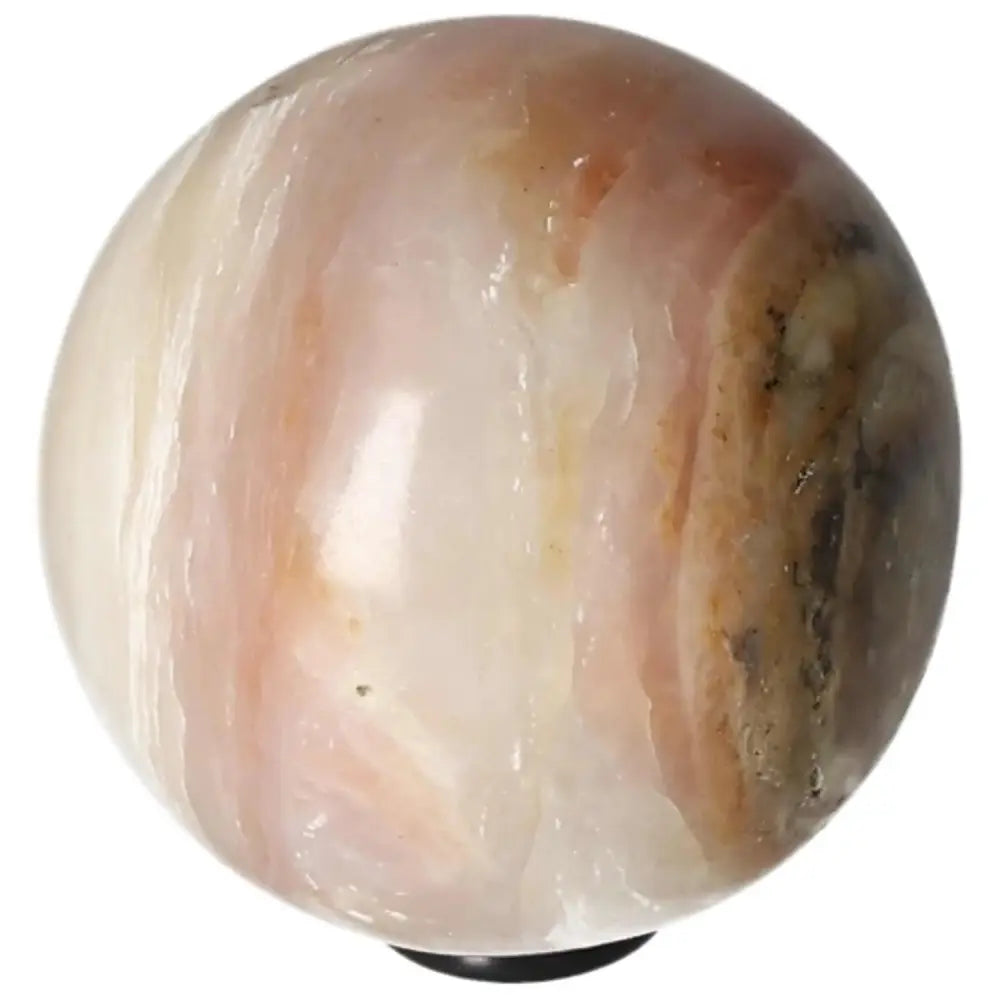 orbitvu|type:image2d