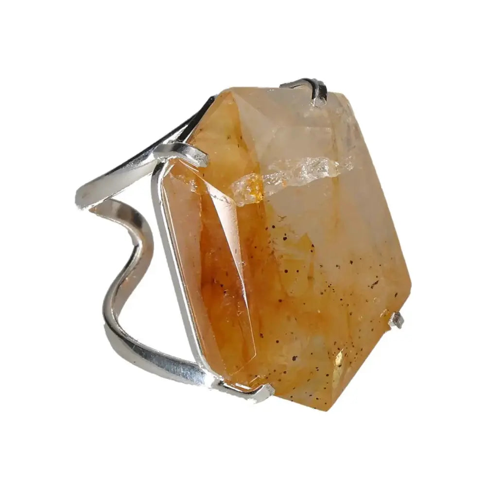 orbitvu|type:image2d