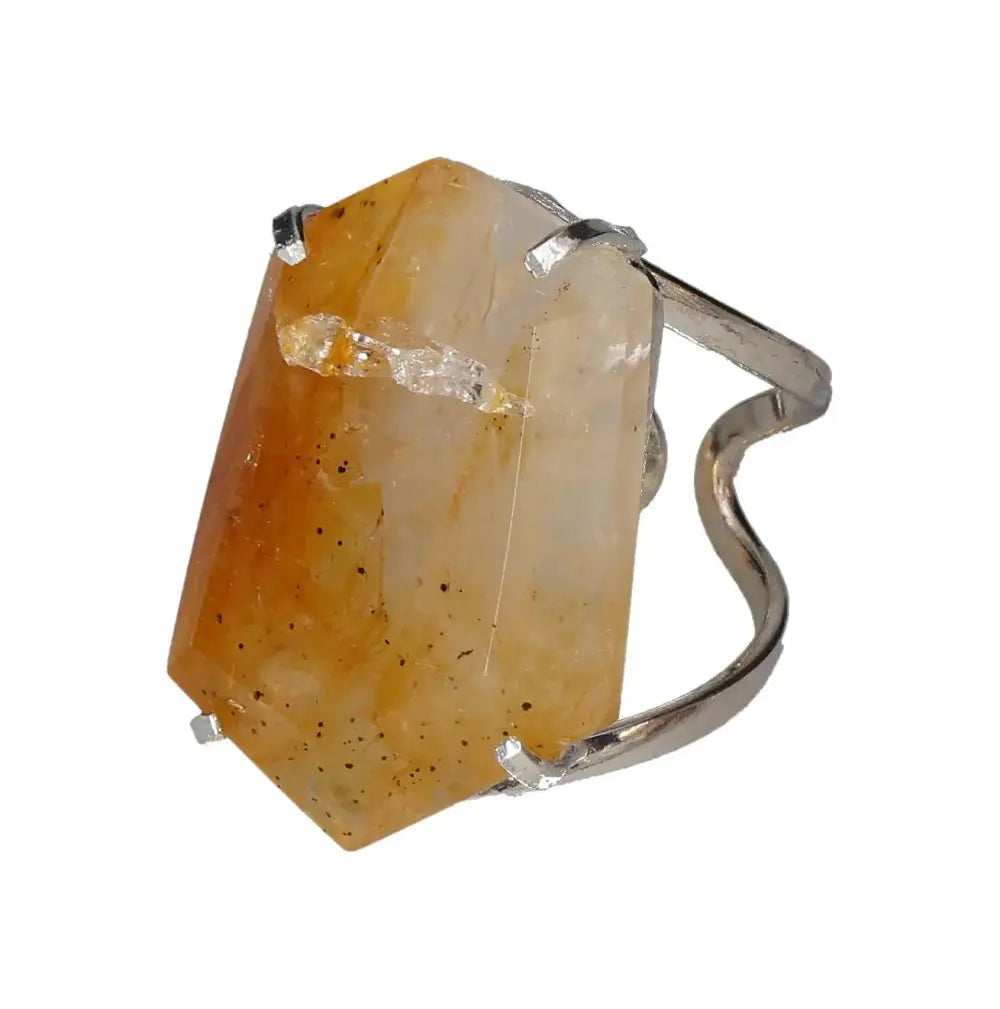 orbitvu|type:image2d