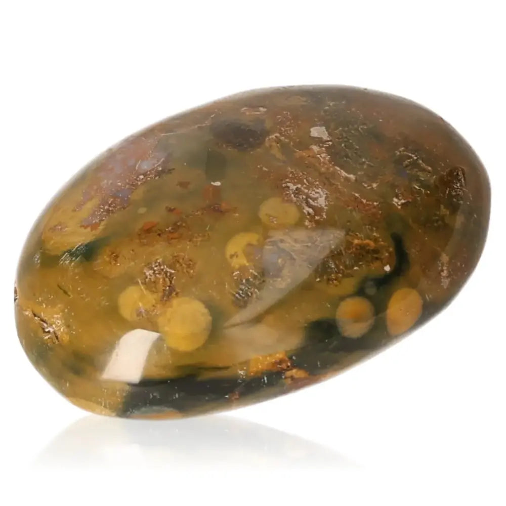 orbitvu|type:image2d