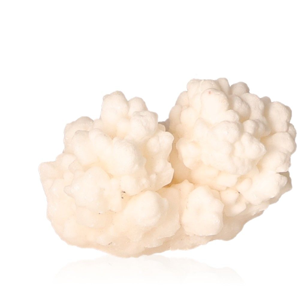 Ighoud Calcite Druze from Morocco, showcasing white earthy formations, symbolizing stability and transformation.