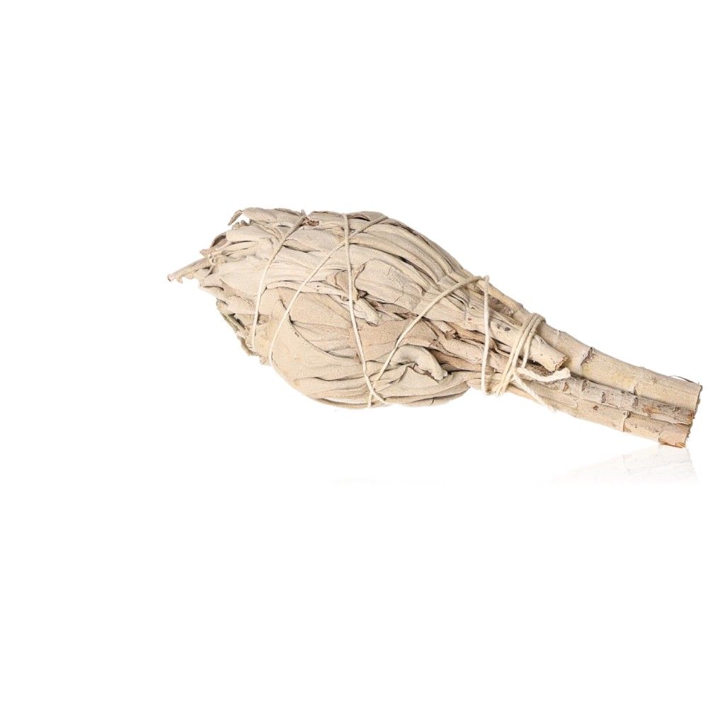 Bunch of white sage tied with string, used for spiritual rituals and medicinal purposes, isolated on a white background.