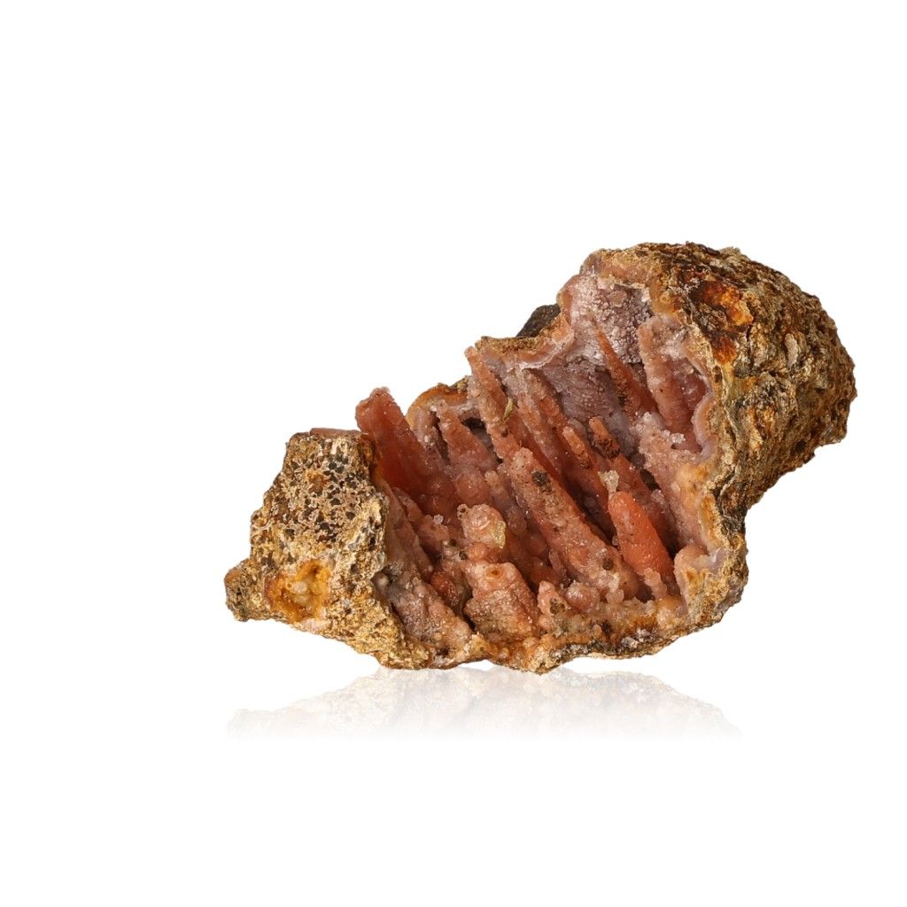 Calcite stalactite showcasing intricate layered structure and earthy tones, symbolizing growth and transformation.