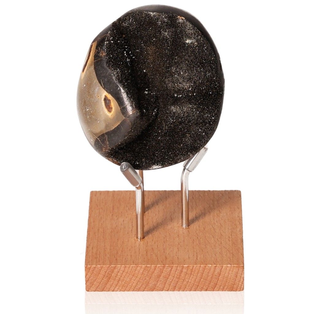 Septarian Dragon Stone on wooden stand, showcasing its unique multidimensional patterns and rich symbolism.