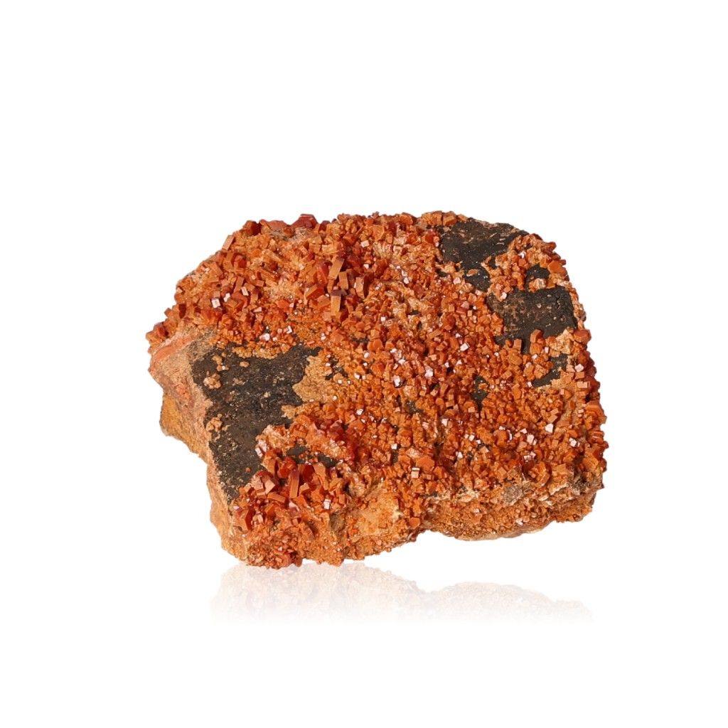 Vanadinite Druze with vibrant reddish hexagonal crystals and a glassy surface, enhances focus and motivation.