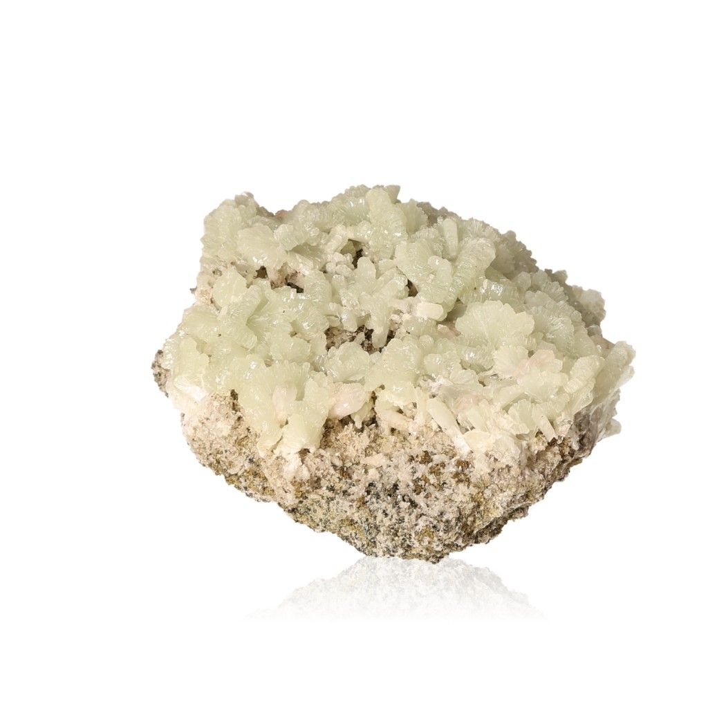 Pale green prehnite druzy gemstone on a white background, showcasing its translucent crystals and soothing properties.