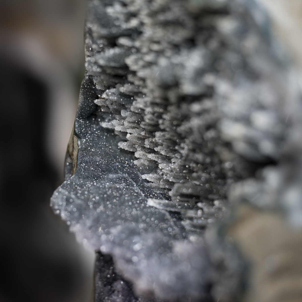 10001144_PC_8